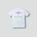 tsagaan sono back web.webp