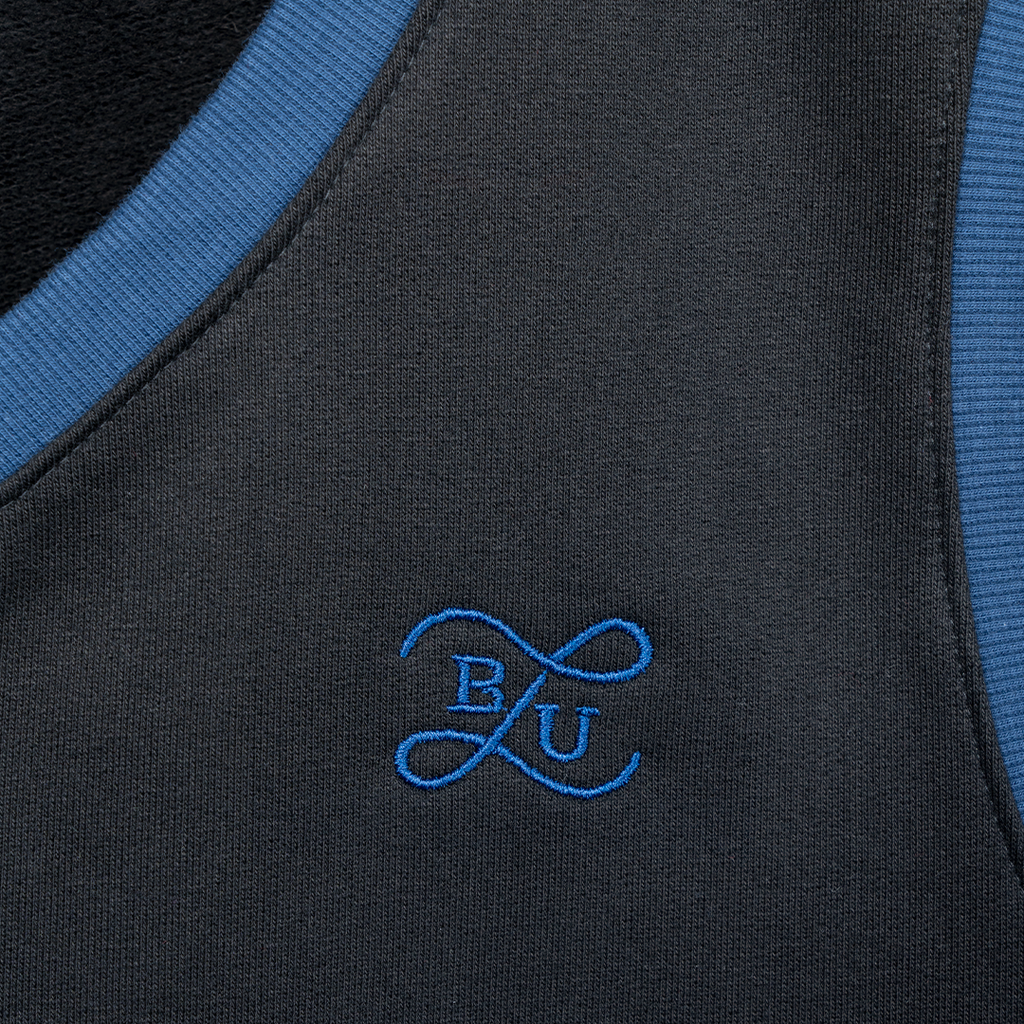 hantaaz logo detail.webp